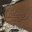 [Cover Thumb]