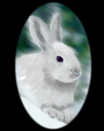 BunBun